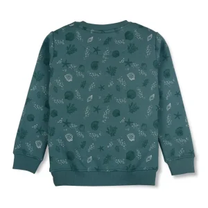 Boys Blue Cotton Printed Sweatshirt
