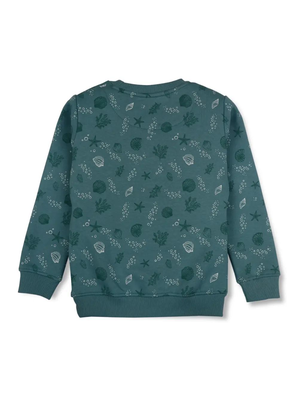 Boys Blue Cotton Printed Sweatshirt