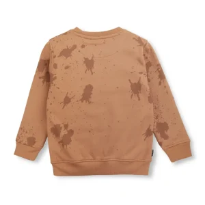 Boys Blue Cotton Printed Sweatshirt