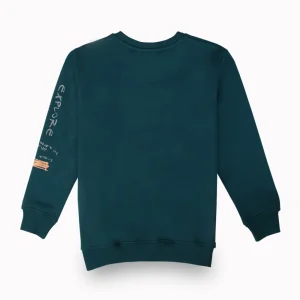 Gini And Jony Boys Teal Graphic Print Cotton Sweat Shirt Full Sleeves