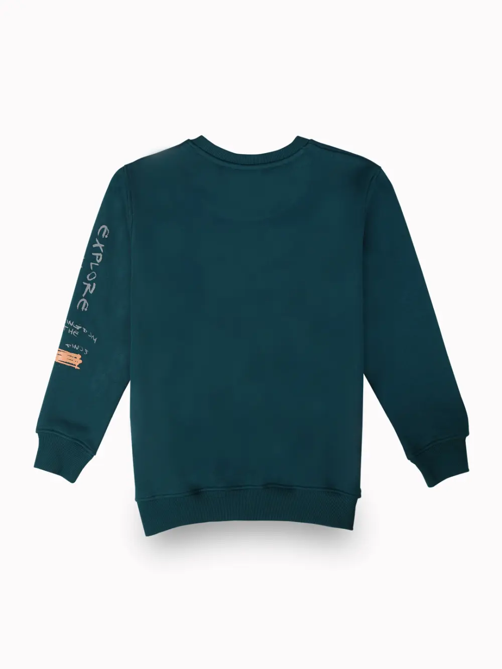 Gini And Jony Boys Teal Graphic Print Cotton Sweat Shirt Full Sleeves