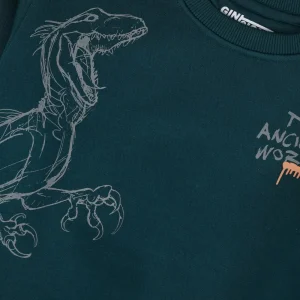 Gini And Jony Boys Teal Graphic Print Cotton Sweat Shirt Full Sleeves