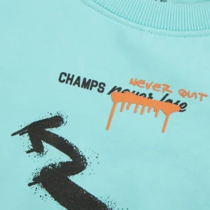 Boys Blue Cotton Printed Sweatshirt