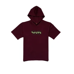 Gini And Jony Boys Burgundy Graphic Print Cotton T-Shirt Half Sleeves