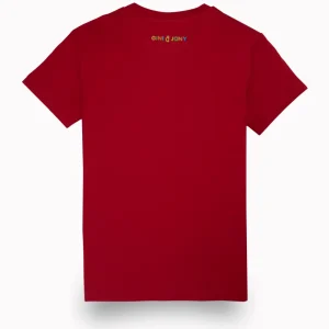 Gini & Jony Boys Printed Cotton Blend Regular T Shirt