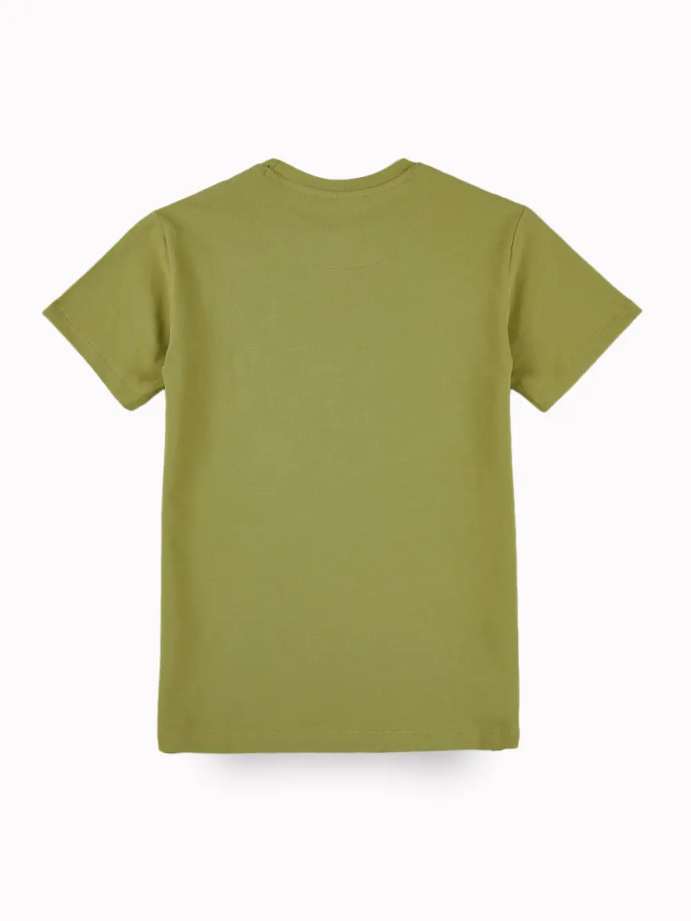 Gini And Jony Boys Light Green Graphic Print Cotton T-Shirt Half Sleeves