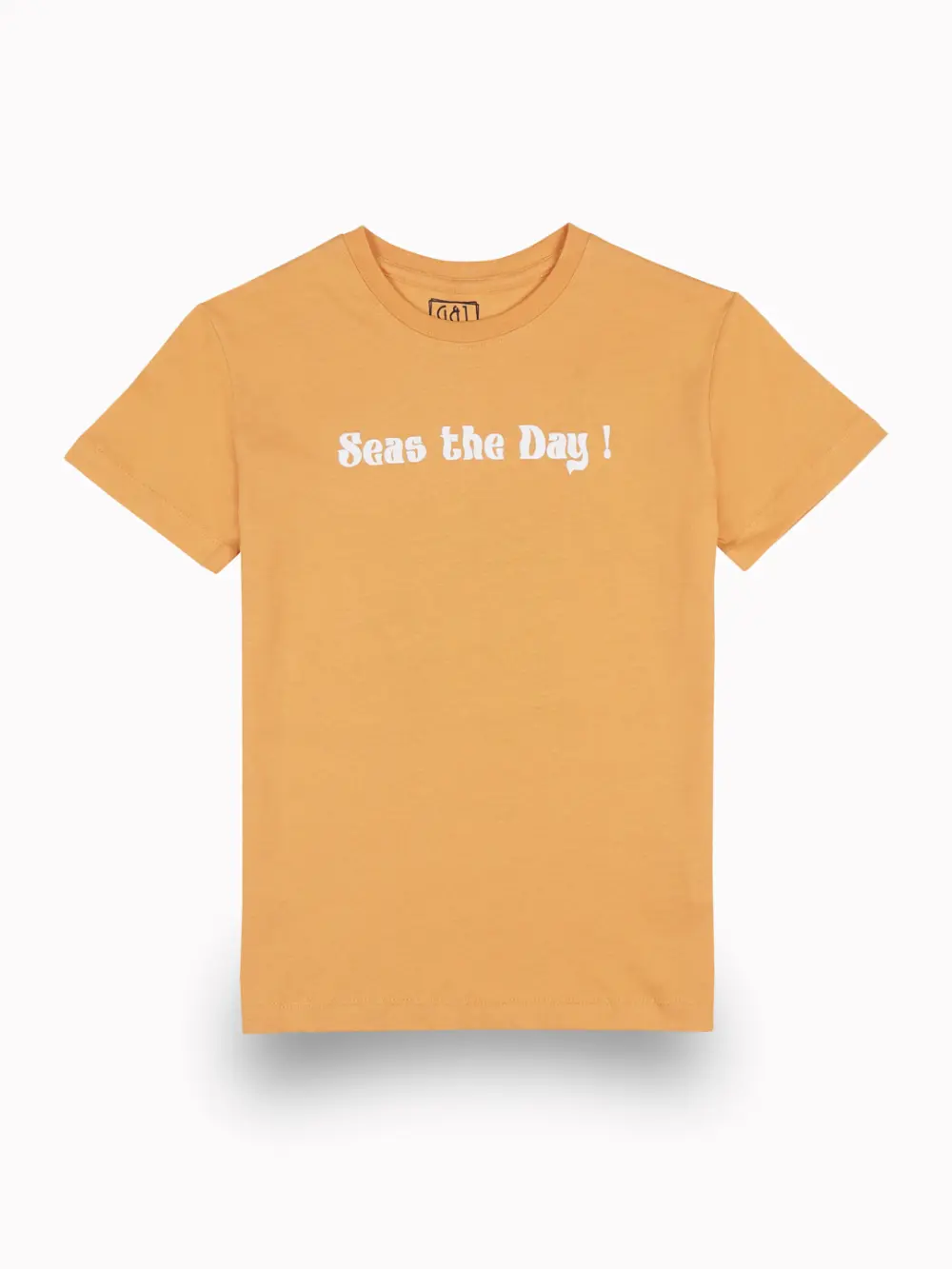 Gini And Jony Boys Orange Graphic Print Cotton T-Shirt Half Sleeves