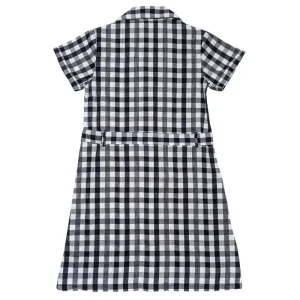 Gini And Jony Girls Blue Checks Cotton Dress Half Sleeves