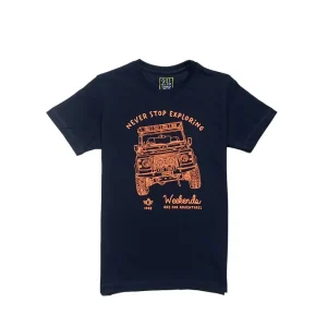 Gini And Jony Boys Blue Checks Cotton Shirt Full Sleeves