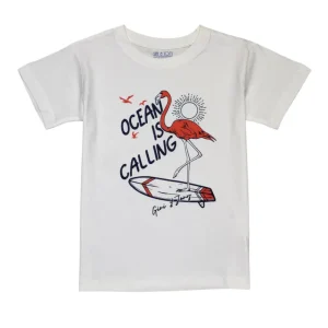 Gini And Jony Boys White Graphic Print Cotton T-Shirt Half Sleeves