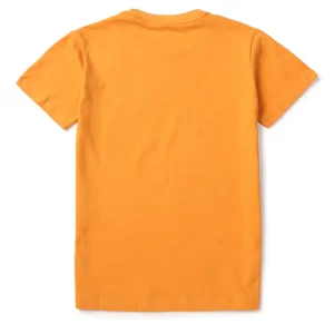 Boys T-Shirt Half Sleeves