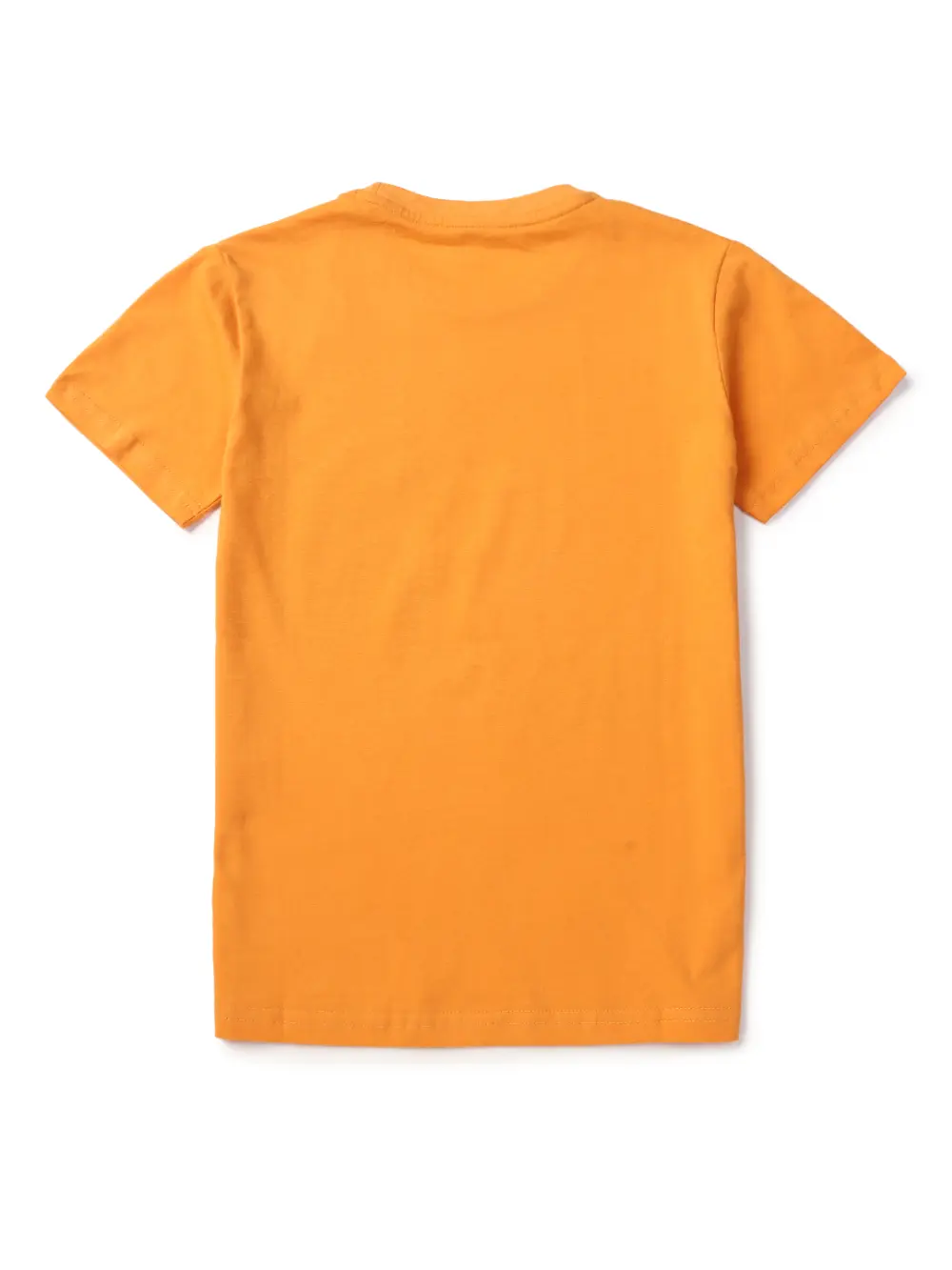 Boys T-Shirt Half Sleeves