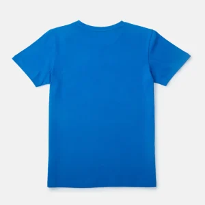 Gini & Jony Boys’ Blue T-Shirt Knitshand-Wash Regular Fit