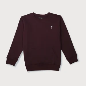 Boys Blue Cotton Printed Sweatshirt