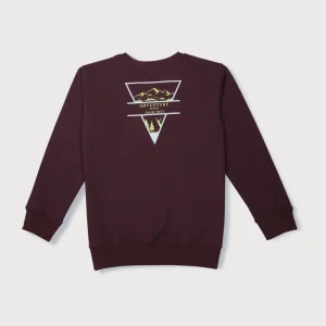 Boys Blue Cotton Printed Sweatshirt