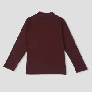 Palm Tree Girls Maroon Solid Cotton Skivvy Full Sleeves 13-14 Years