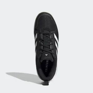 Ligra 7 Shoes