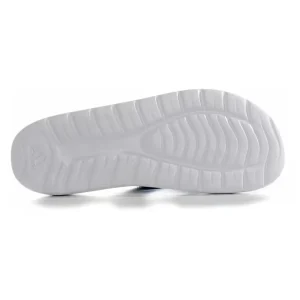Solez