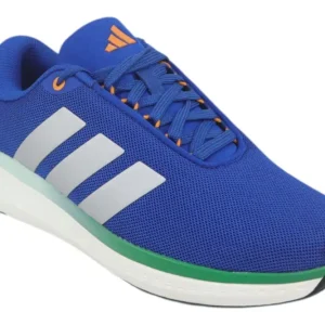 Aero Echo Zest Shoes