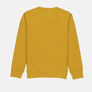 Boys Solid Round Neck Sweatshirt