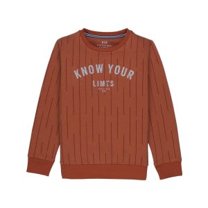 Boys All Over Printed Round Neck Sweatshirt