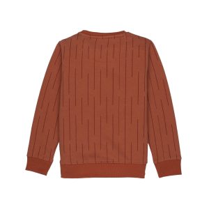 Boys All Over Printed Round Neck Sweatshirt