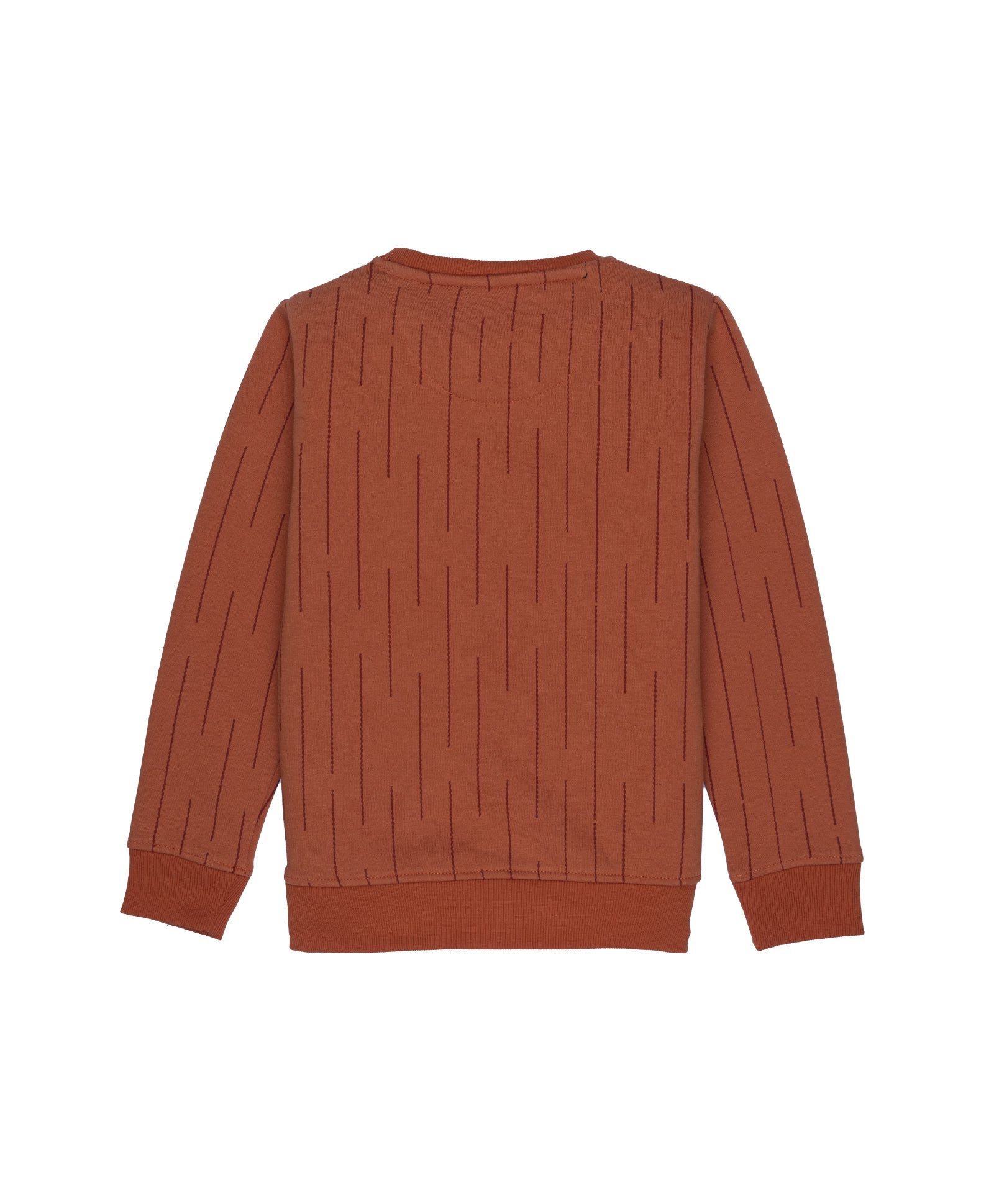 Boys All Over Printed Round Neck Sweatshirt