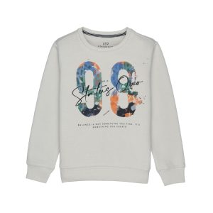 Boys Printed Round Neck Sweatshirt