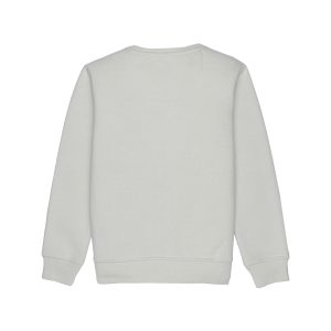 Boys Printed Round Neck Sweatshirt
