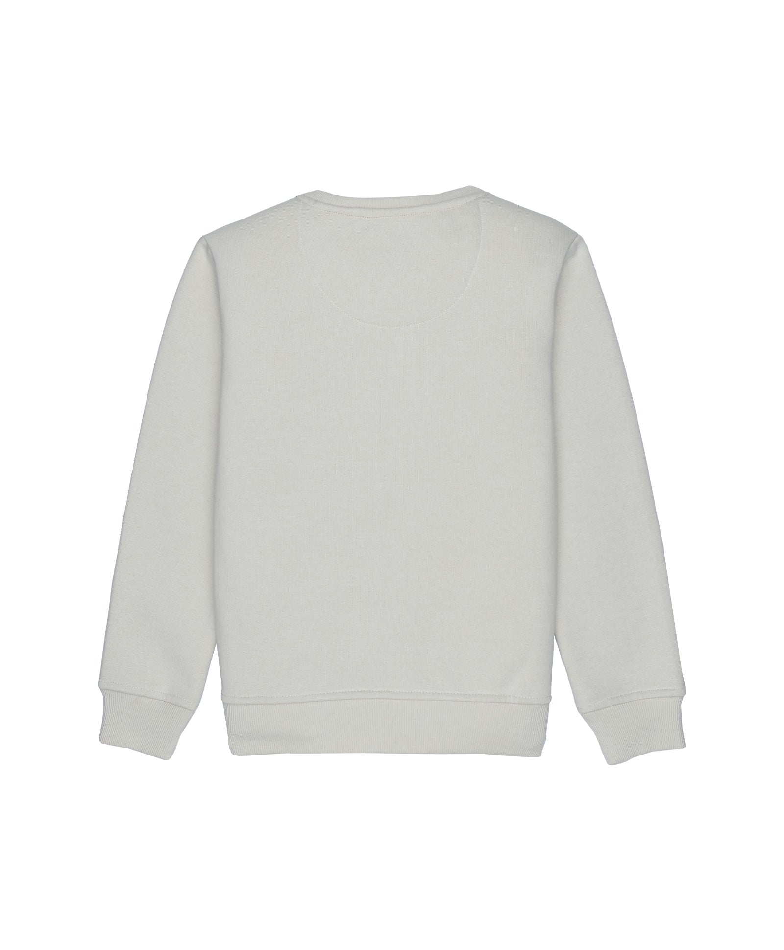 Boys Printed Round Neck Sweatshirt