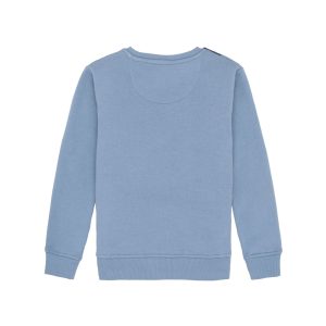 Boys Solid Round Neck Sweatshirt