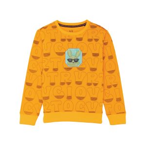 Boys All Over Printed Sweatshirt