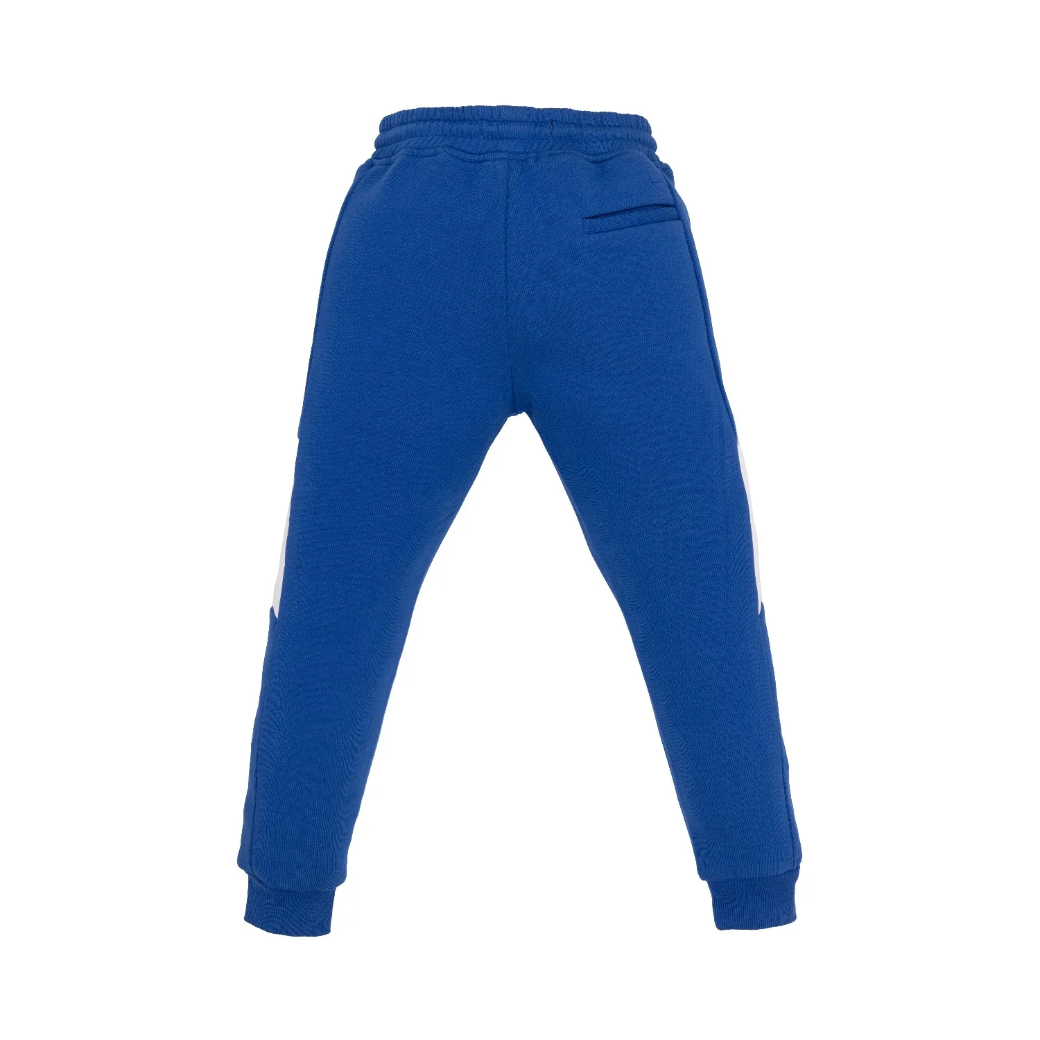 Boys Cut & Sew Regular Fit Joggers