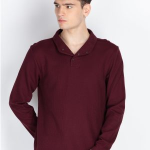 Mens Solid High Neck T-Shirt