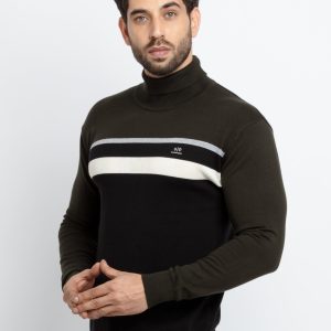 Mens Striped Turtle Neck Sweater