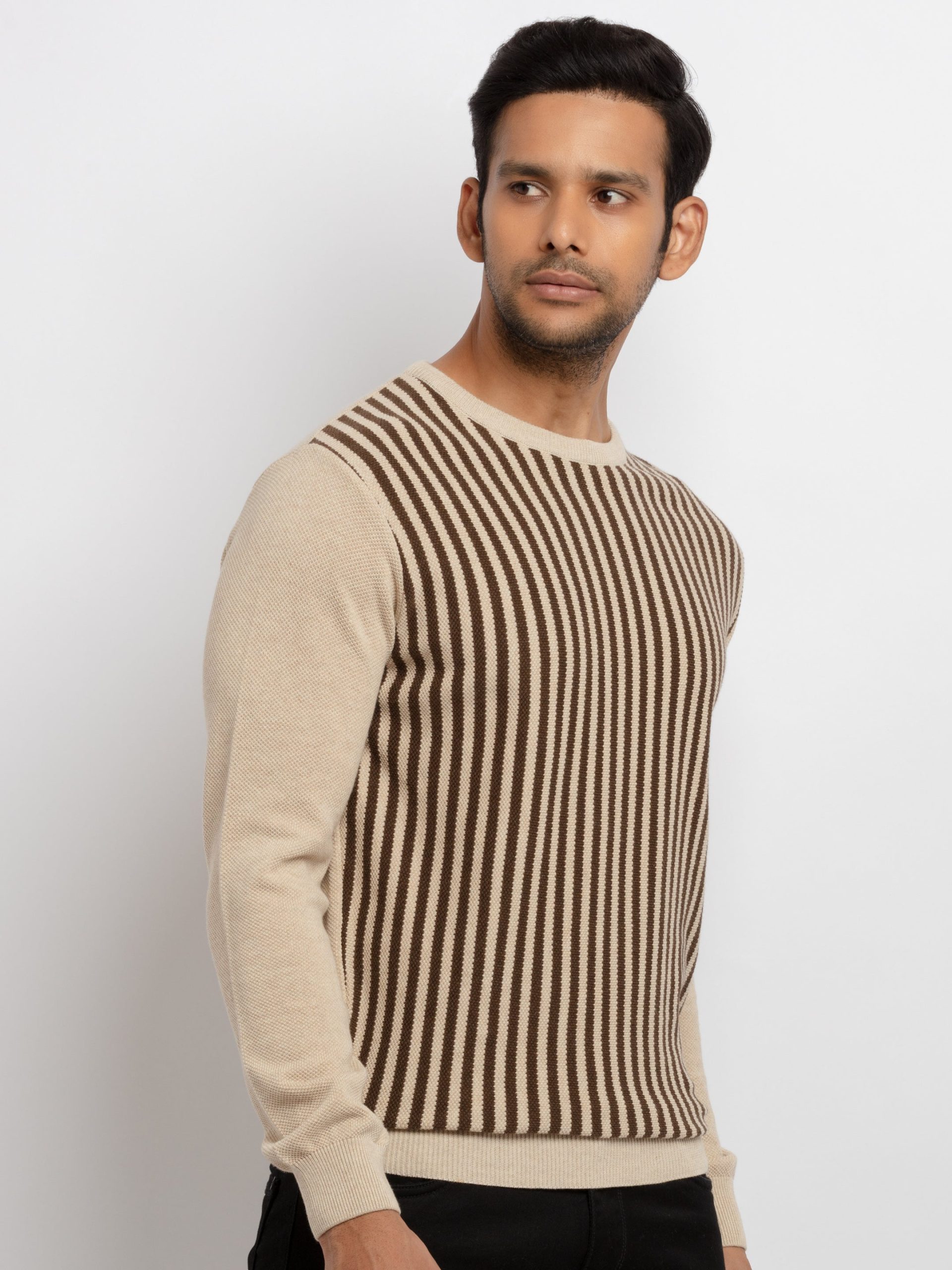 Mens Striped Round Neck Sweater