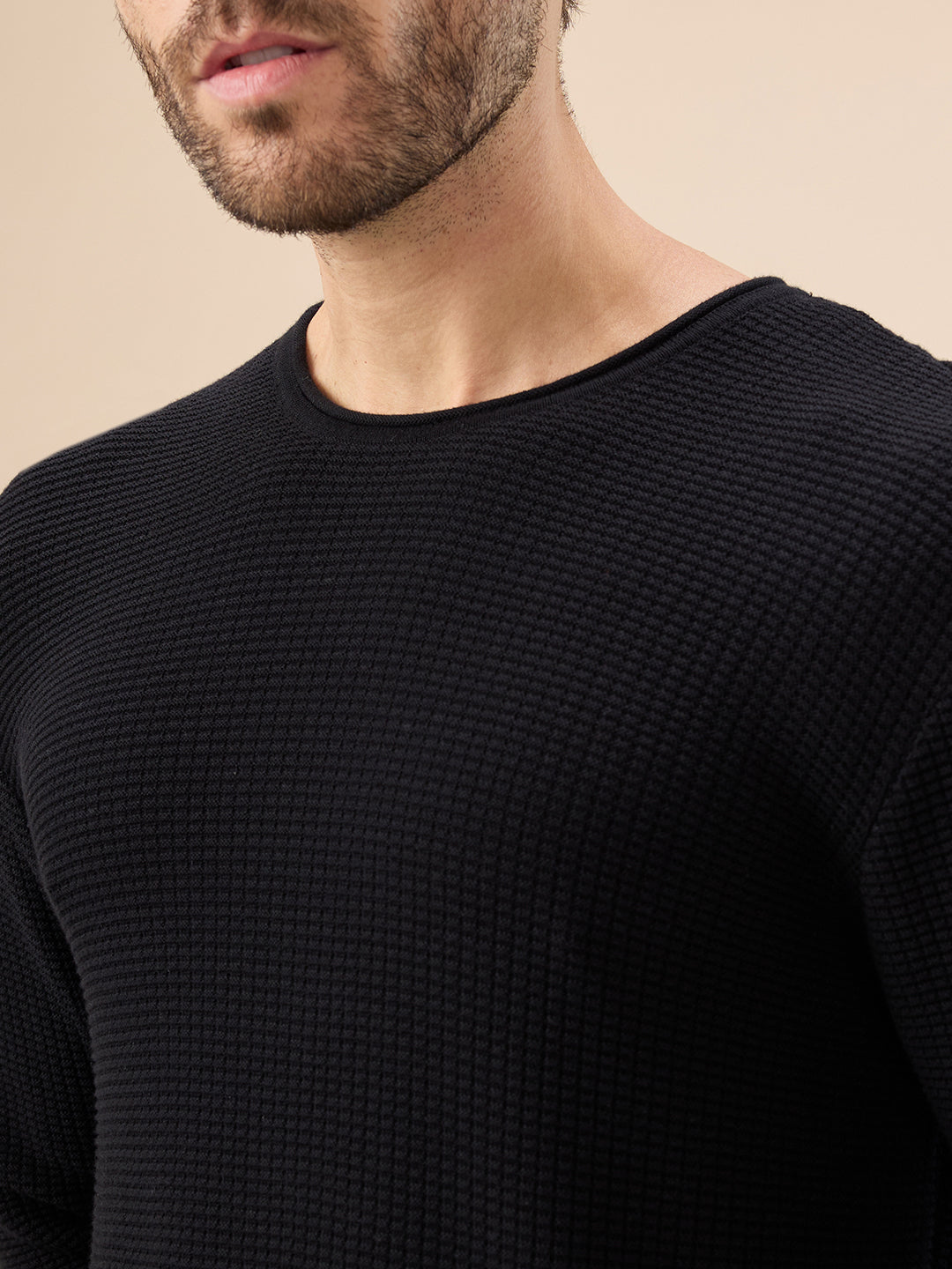 Status Quo Men'S Basic Solid Textured Full Sleeves Round Neck Sweater