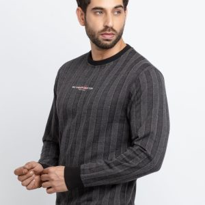 Mens Regular Fit Round Neck Striped T-Shirt