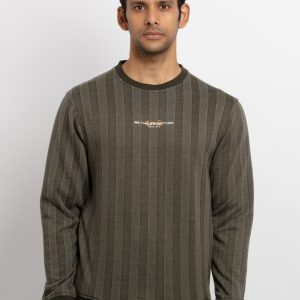 Mens Regular Fit Round Neck Striped T-Shirt