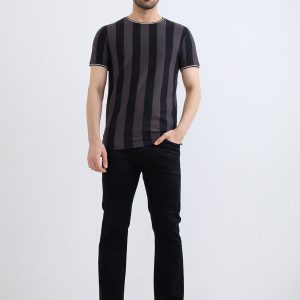 Status Quo Men'S Striped Half Sleeves Round Neck Regular Fit Tshirt