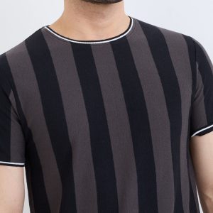 Status Quo Men'S Striped Half Sleeves Round Neck Regular Fit Tshirt