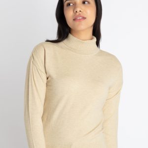 Womens Solid Turtle Neck Sweater